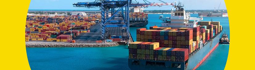 Phí CFS là gì? Ứng dụng, Cách tính, Sự khác biệt CFS và THC