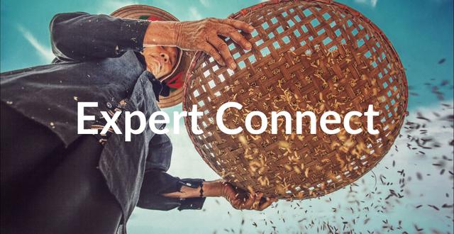 Rice Export from India: Insights with Expert