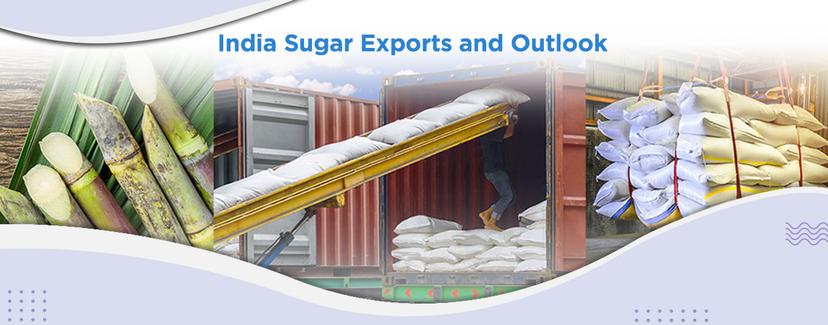 India Sugar Exports and Outlook